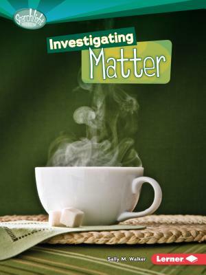 Investigating Matter by Sally M. Walker