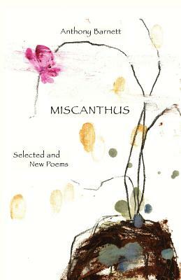 Miscanthus: Selected & New Poems by Anthony Barnett