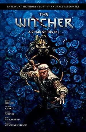 Andrzej Sapkowski's The Witcher: A Grain of Truth by Jacek Rembiś, Andrzej Sapkowski