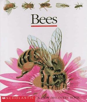 Bees by Gallimard Jeunesse, Ute Fuhr, Raoul Sautai