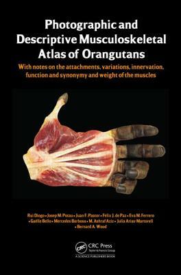 Photographic and Descriptive Musculoskeletal Atlas of Orangutans: With Notes on the Attachments, Variations, Innervations, Function and Synonymy and W by Rui Diogo, Josep M. Potau, Juan F. Pastor