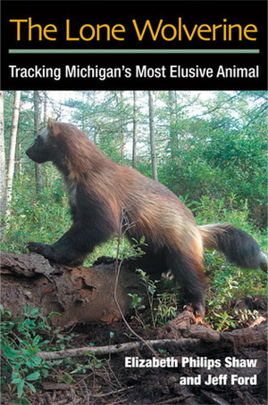 The Lone Wolverine: Tracking Michigan's Most Elusive Animal by Jeff Ford, Elizabeth Philips Shaw