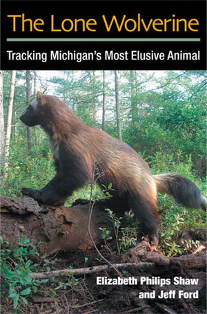 The Lone Wolverine: Tracking Michigan's Most Elusive Animal by Elizabeth Philips Shaw, Jeff Ford