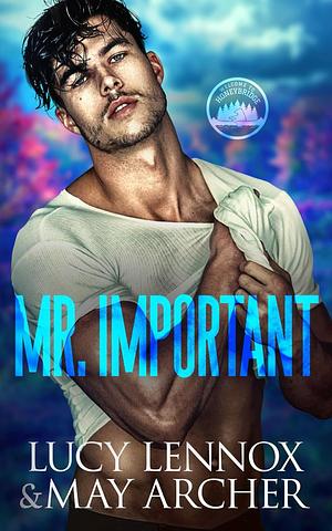 Mr. Important by May Archer, Lucy Lennox