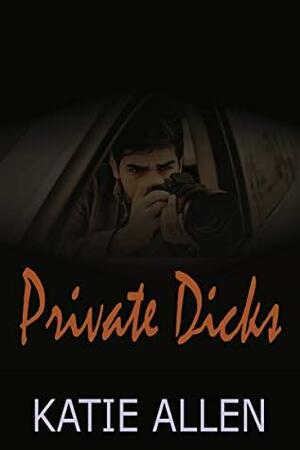 Private Dicks: SANCTUARY Series #1 by Katie Allen