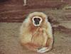 gourdziller's profile picture