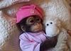 k_aammi's profile picture