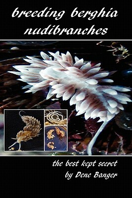 Breeding Berghia Nudibranches the best kept secret by Dene Banger