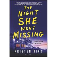 The Night She Went Missing by Kristen Bird
