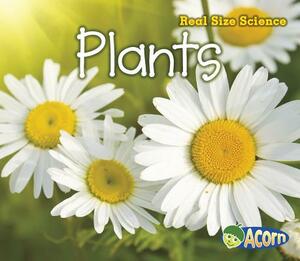 Plants by Rebecca Rissman