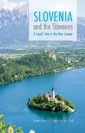 Slovenia and the Slovenes: A Small State and the New Europe by James Gow, Gow