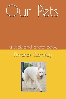 Our Pets: a stick and draw book by Florence Amy Carnelly