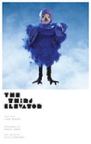 The Third Elevator by Marnie Weber, Aimee Bender