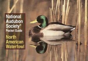 National Audubon Society Pocket Guide to Waterfowl by National Audubon Society