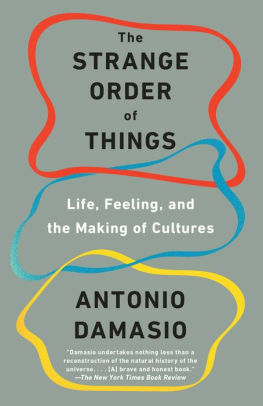 Lo strano ordine delle cose. La vita, i sentimenti e la creazione della cultura by António R. Damásio