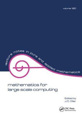 Mathematics for Large Scale Computing by J.C. Diaz