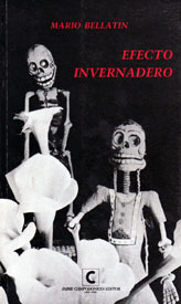 Efecto invernadero by Mario Bellatin