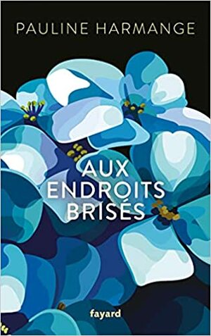 Aux endroits brisés by Pauline Harmange