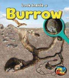 Look Inside a Burrow by Richard Spilsbury
