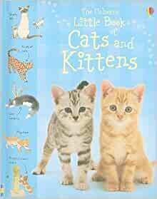 The Usborne Little Book of Cats and Kittens by Sarah Kahn