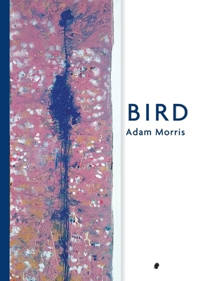 Bird by Adam Morris
