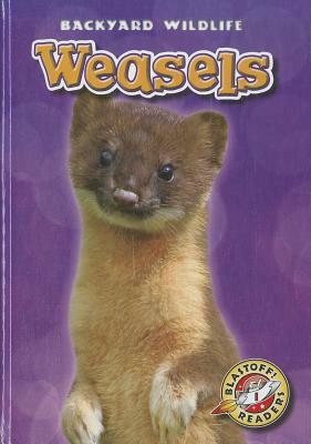 Weasels by Megan Borgert-Spaniol