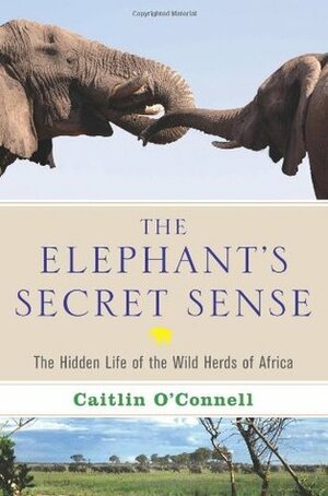 The Elephant's Secret Sense: The Hidden Life of the Wild Herds of Africa by Caitlin O'Connell