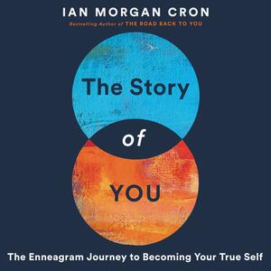 Story of You by Ian Morgan Cron