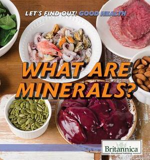 What Are Minerals? by Corona Brezina