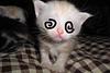 nellyis_jelly's profile picture