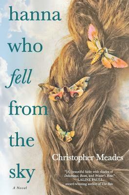 Hanna Who Fell from the Sky by Christopher Meades