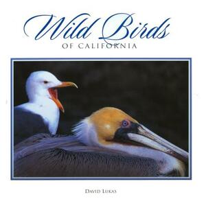 Wild Birds of California by David Lukas