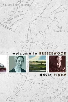 Welcome to Breezewood by David Sturm