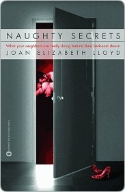 Naughty Secrets: What Your Neighbors Are Really Doing Behind Their Bedroom Doors! by Joan Elizabeth Lloyd