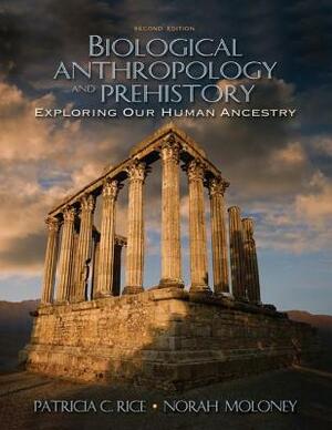 Biological Anthropology and Prehistory: Exploring Our Human Ancestry by Patricia C. Rice, Norah Moloney