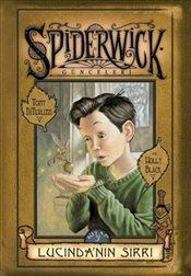 Lucinda'nın Sırrı by Holly Black, Tony DiTerlizzi