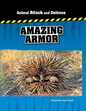 Amazing Armor by Kimberley Jane Pryor