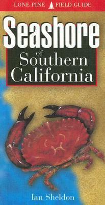 Seashore of Southern California by Ian Sheldon