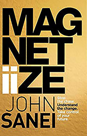 Magnitiize: Stop the chase. Understand the change. Take control of your future. by John Sanei, Tim Richman