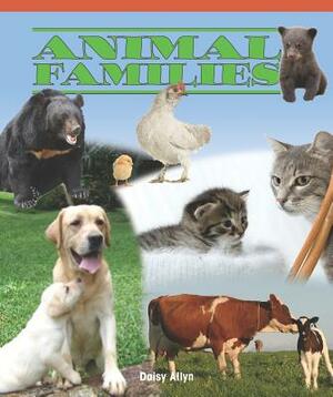 Animal Families by Daisy Allyn