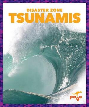 Tsunamis by Cari Meister