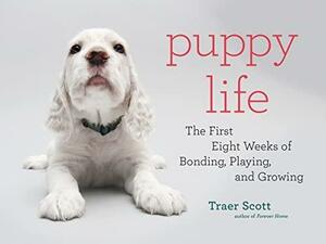 Puppy Life: The First Eight Weeks of Bonding, Playing, and Growing by Traer Scott