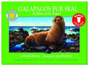 Galapagos Fur Seal by Victoria Sherrow