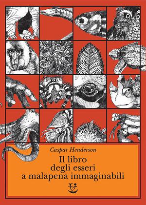 Il libro degli esseri a malapena immaginabili by Caspar Henderson, Golbanou Moghaddas