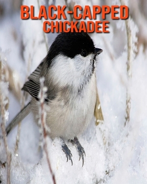 Black-Capped Chickadee: Learn About Black-Capped Chickadee and Enjoy Colorful Pictures by Diane Jackson