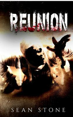 Reunion: The Cedarstone Chronicles Book 4 by Sean Stone