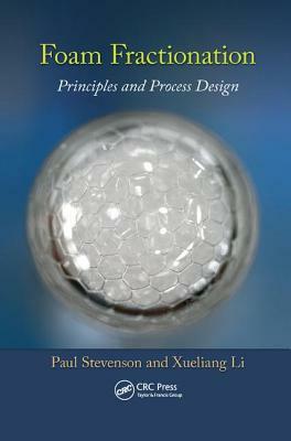 Foam Fractionation: Principles and Process Design by Xueliang Li, Paul Stevenson