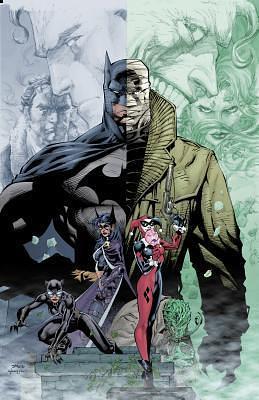 Batman - the Hush Saga Omnibus by Jim Lee, Jeph Loeb, Paul Dini