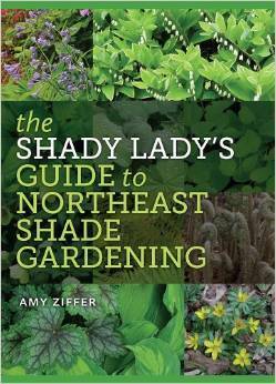 The Shady Lady's Guide to Northeast Shade Gardening by Amy Ziffer