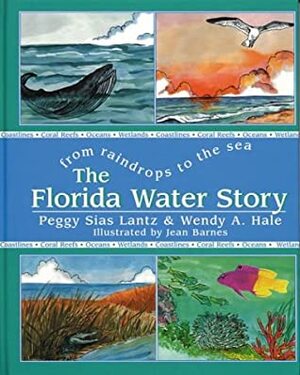 The Florida Water Story: From Raindrops to the Sea by Jean Barnes, Peggy S. Lantz, Wendy A Hale